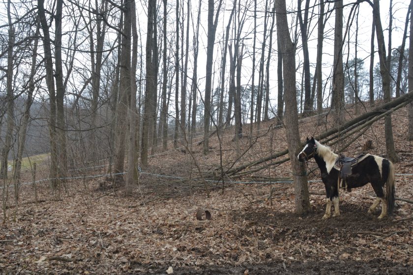 tiredupbybrucestambaugh