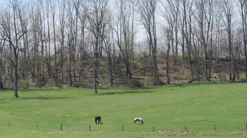 grazingbybrucestambaugh