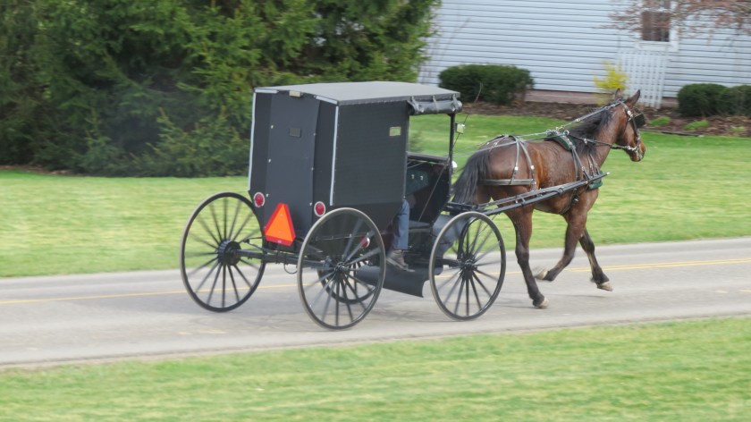 horseandbuggybybrucestambaugh