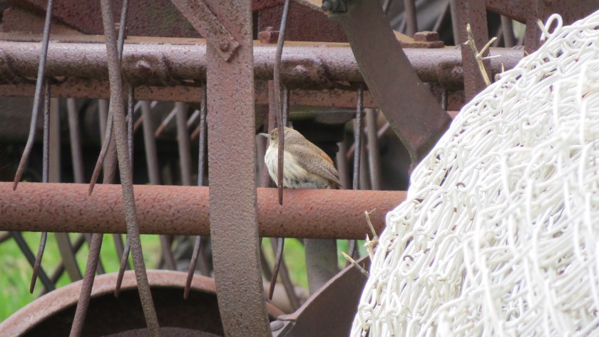 playinghardtofindbybrucestambaugh