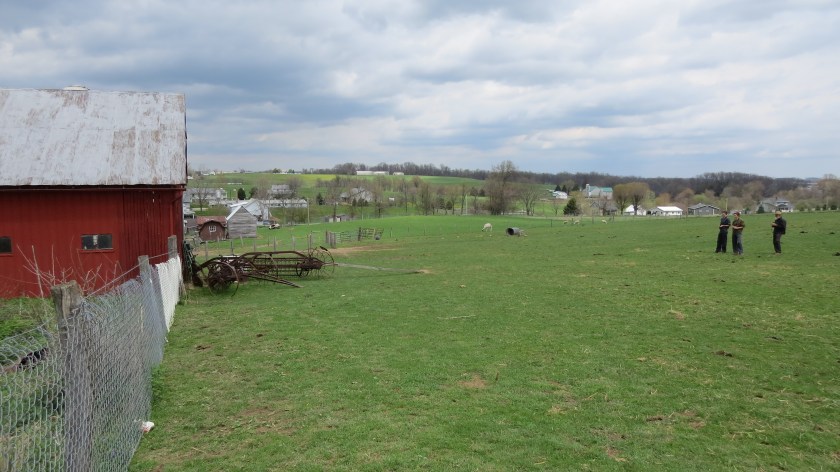 lookingforthewrenbybrucestambaugh