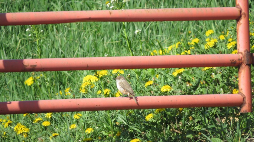 onthegatebybrucestambaugh