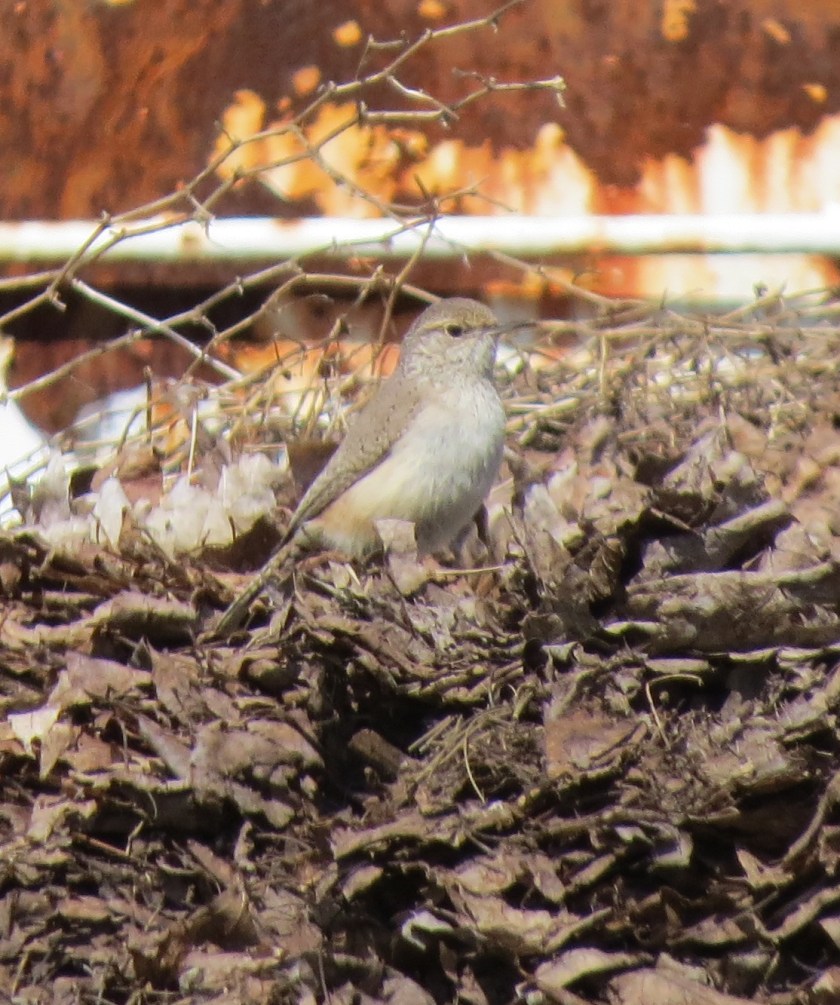 leafpilebybrucestambaugh