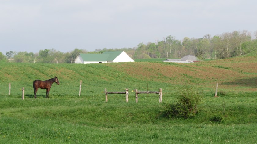 outstandinginhisfieldbybrucestambaugh