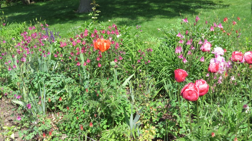 flowergardenbybrucestambaugh