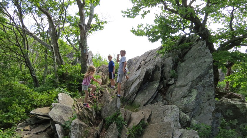 rockclimbingbybrucestambaugh