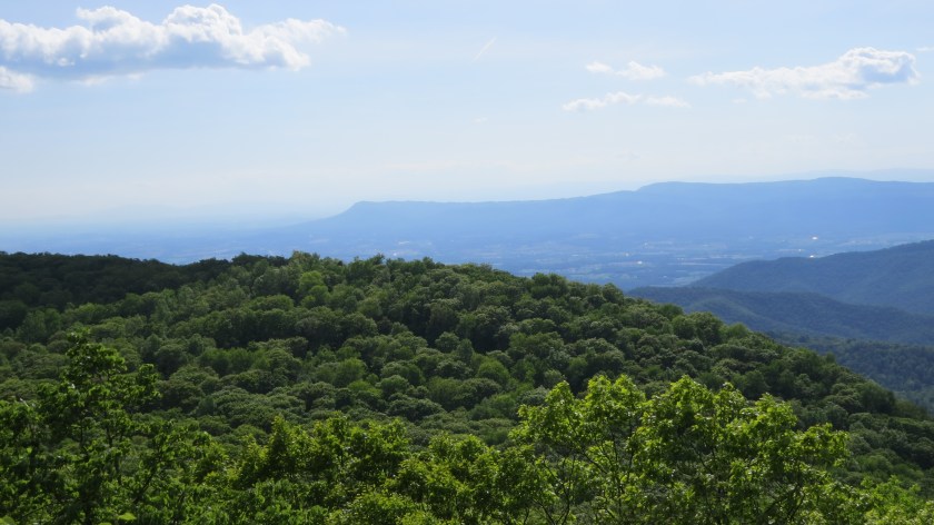 treesandmountainsbybrucestambaugh