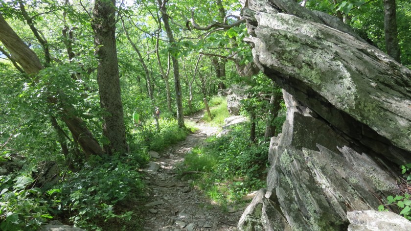 mountaintrailbybrucestambaugh