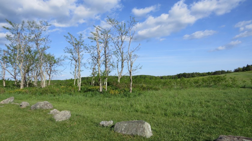 bigmeadowsbybrucestambaugh