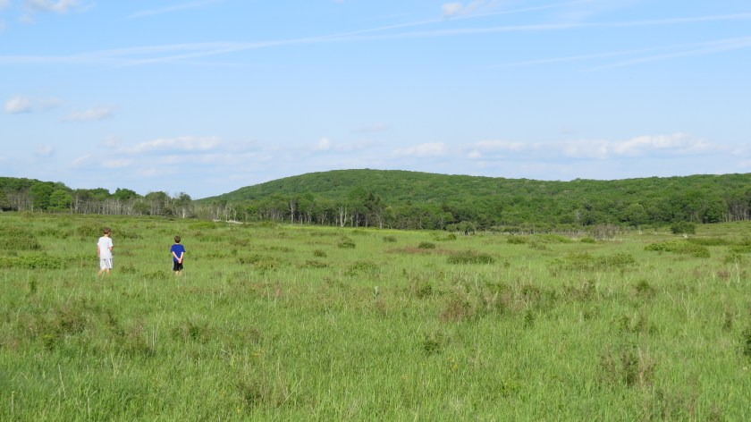 exploringbybrucestambaugh