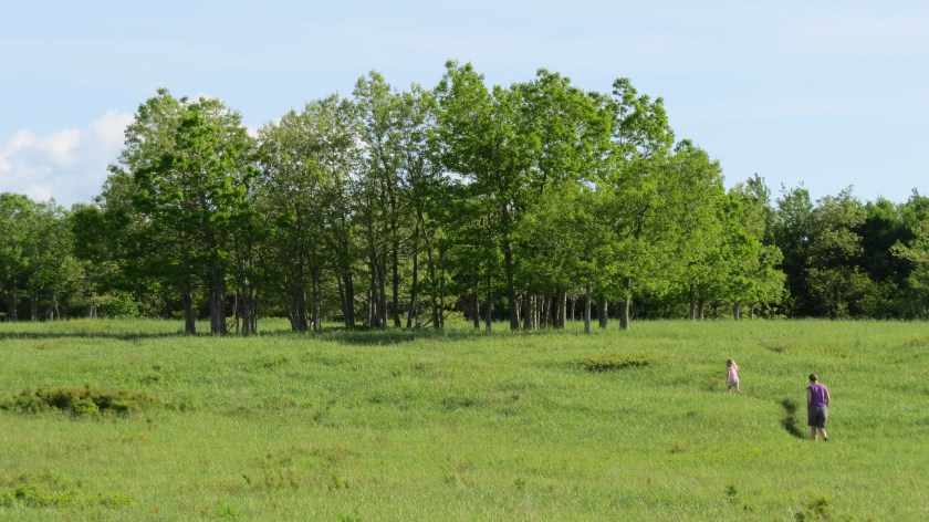 hikingthroughbybrucestambaugh