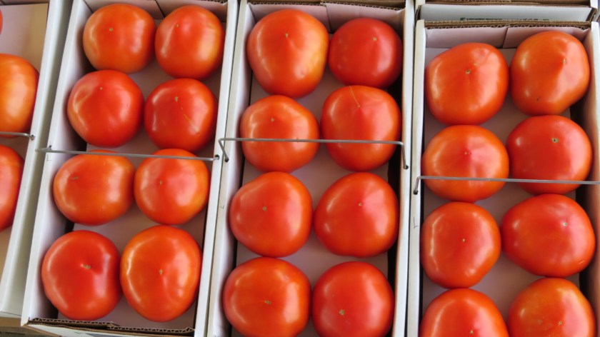 tomatoesbybrucestambaugh