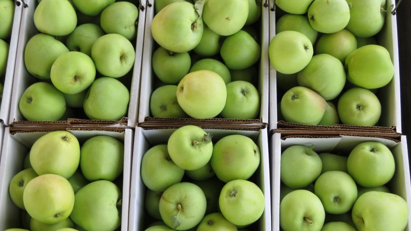 earlyapplesbybrucestambaugh