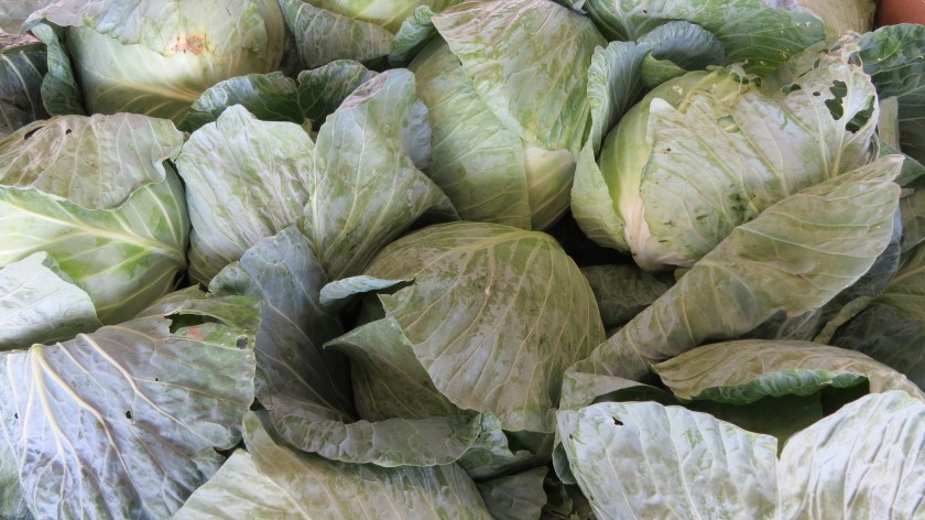 cabbagebybrucestambaugh
