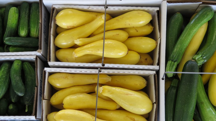 summersquashbybrucestambaugh