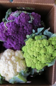 cauliflowerbybrucestambaugh