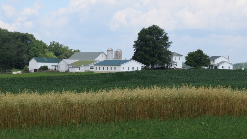 summercropsbybrucestambaugh