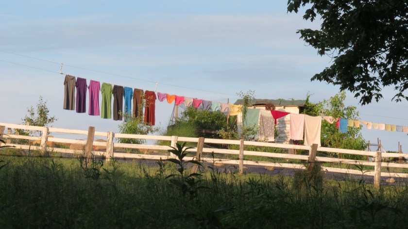 launderedrainbowbybrucestambaugh