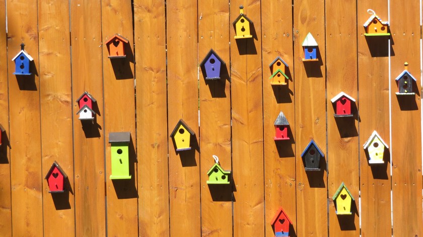 onthefencebybrucestambaugh