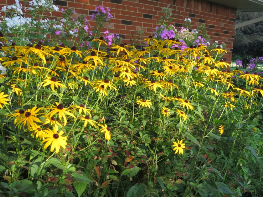 flowersbybrucestambaugh