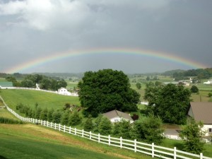 rainbowbybrucestambaugh