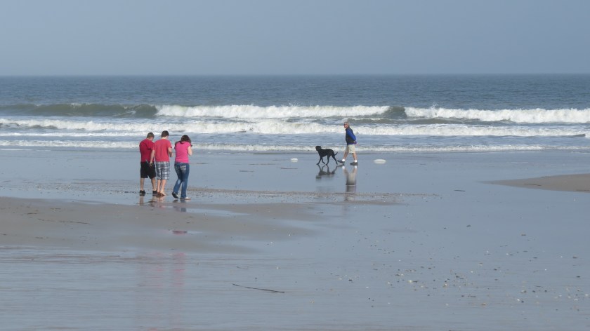 onmainbeachbybrucestambaugh