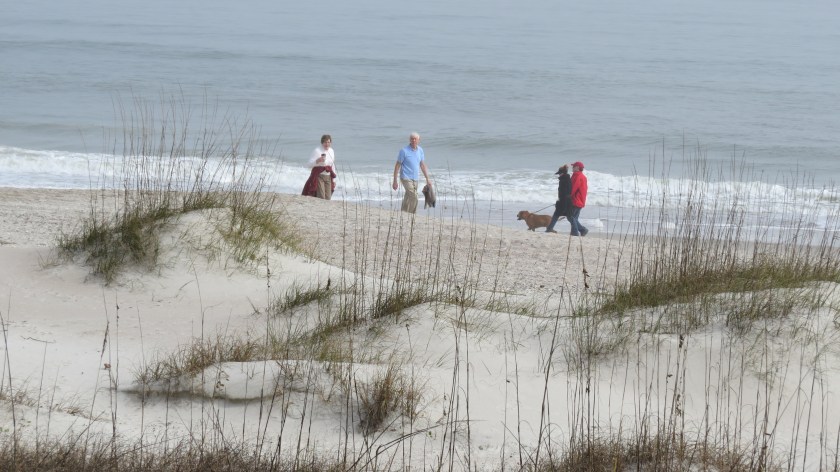 beachwalkingbybrucestambaugh