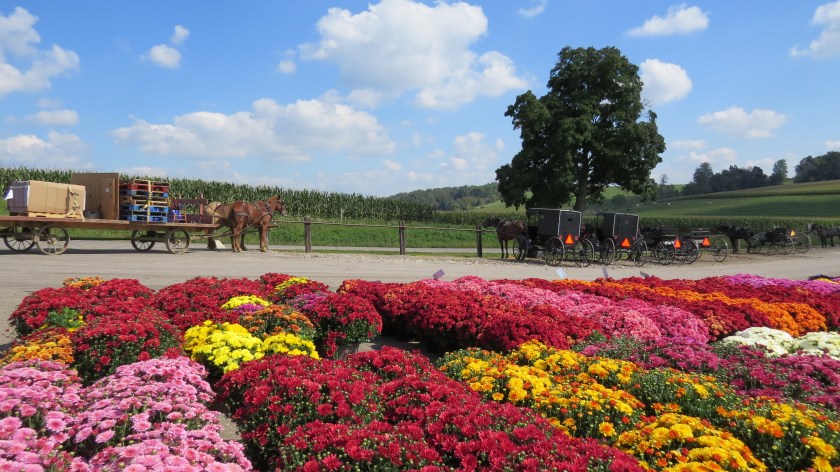 attheproduceauctionbybrucestambaugh