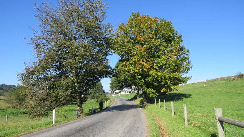 slightblushbybrucestambaugh