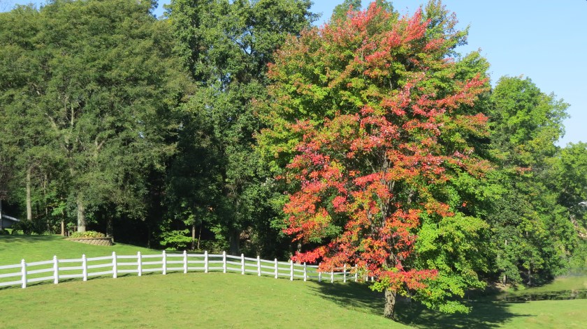 showingchangebybrucestambaugh