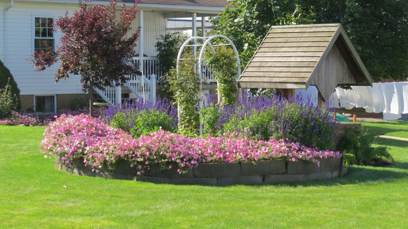 fallflowergardernbybrucestambaugh