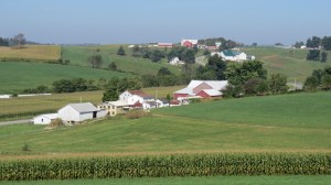 verdantfarmsbybrucestambaugh