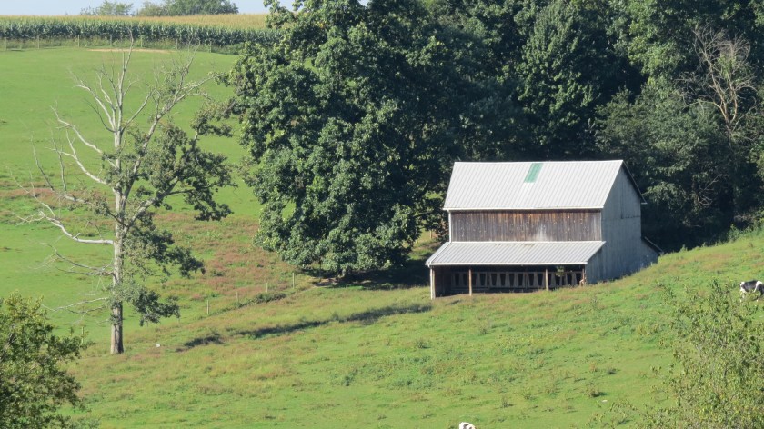 awaitingharvestbybrucestambaugh