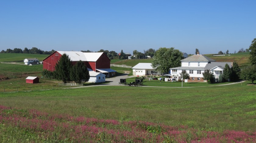 lushfieldsbybrucestambaugh