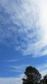 scallopedcloudsbybrucestambaugh