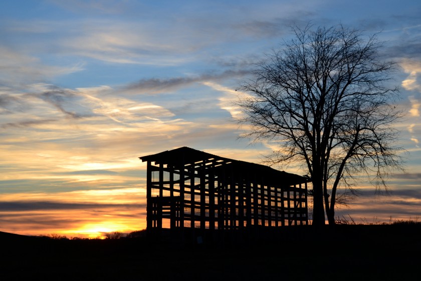 corncribsunsetbybrucestambaugh