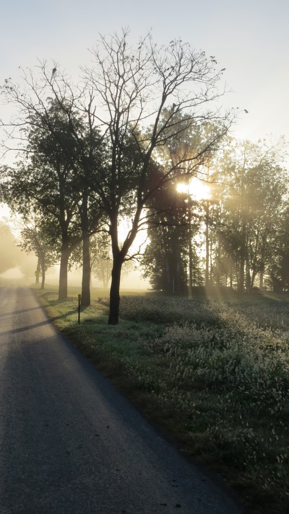 Foggy scene Holmes County Ohio by Bruce Stambaugh