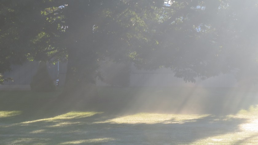 Sunrays streaming by Bruce Stambaugh