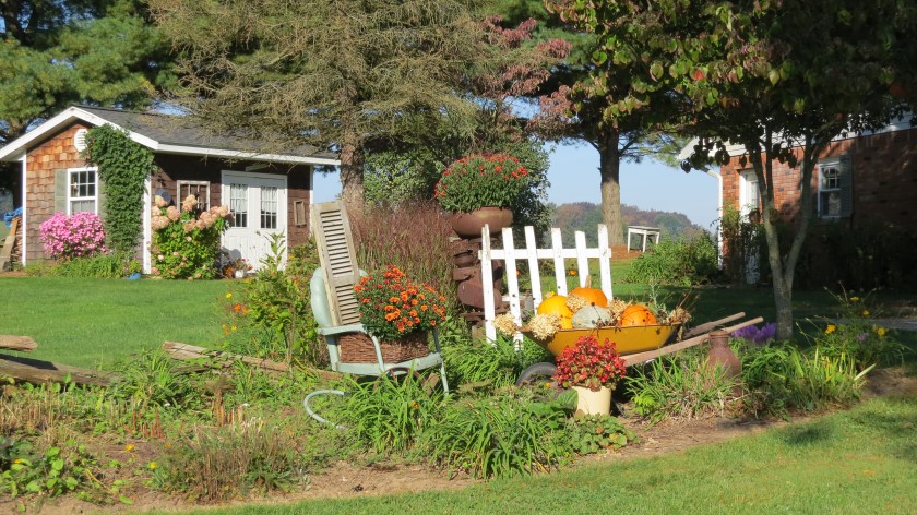 Fall flowers by Bruce Stambaugh
