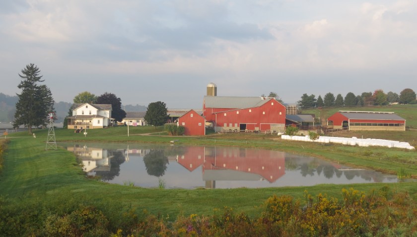 morningreflectionsbybrucestambaugh