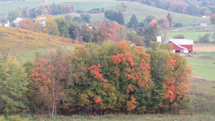 Fall in Holmes County Ohio by Bruce Stambaugh