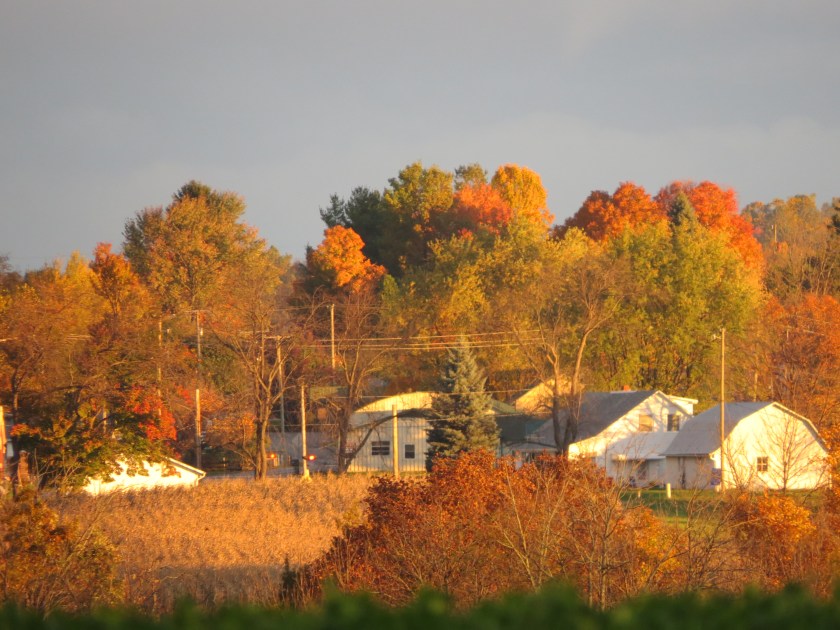 Fryburg, fall leaves, sugar maples, Bruce Stambaugh, Holmes County Ohio