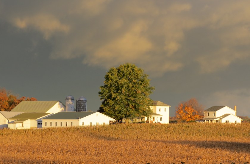 Amish farm, morning sun, Bruce Stambaugh