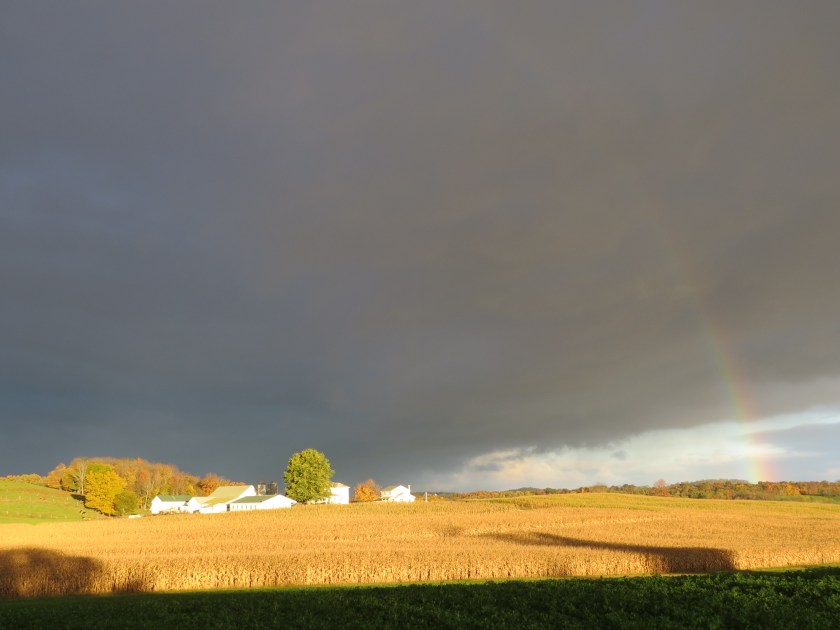 fading rainbow, Bruce Stambaugh