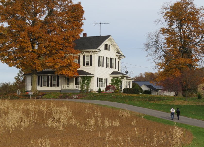 Amish couple, Holmes County Ohio, autumn leaves, country scene