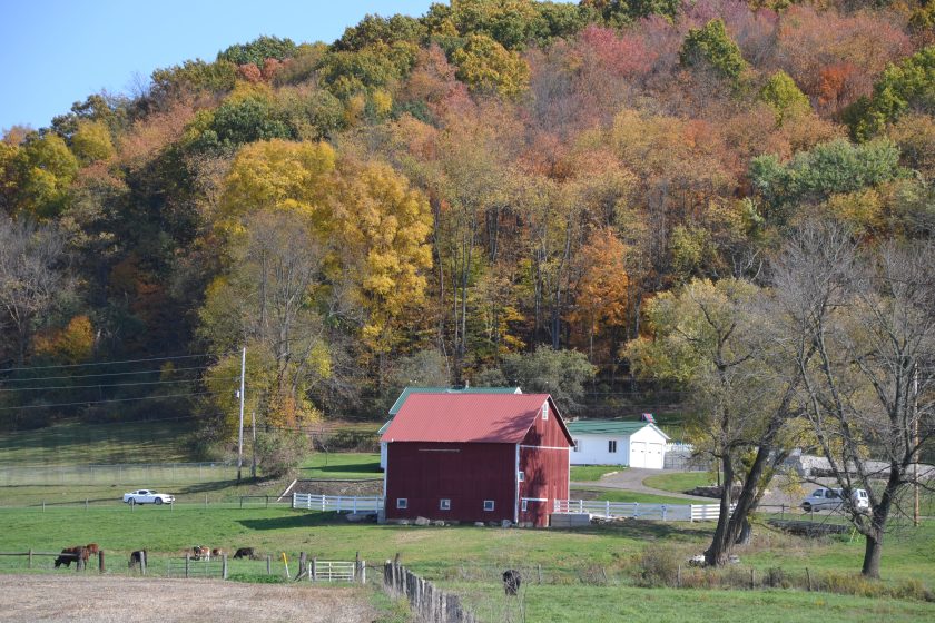 Fall leaves Holmes County Trail by Bruce Stambaugh