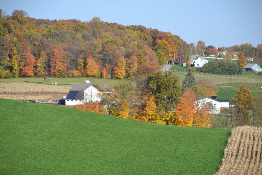 Fall colors Holmes County Ohio by Bruce Stambaugh