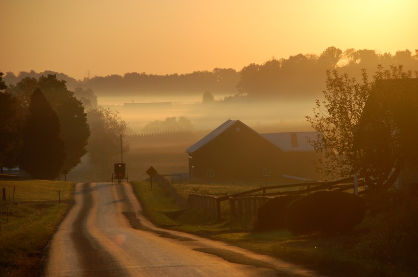 Amish buggy in fog by Bruce Stambaugh