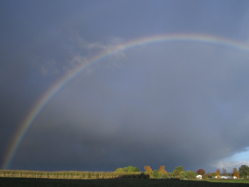 full rainbow, morning rainbow