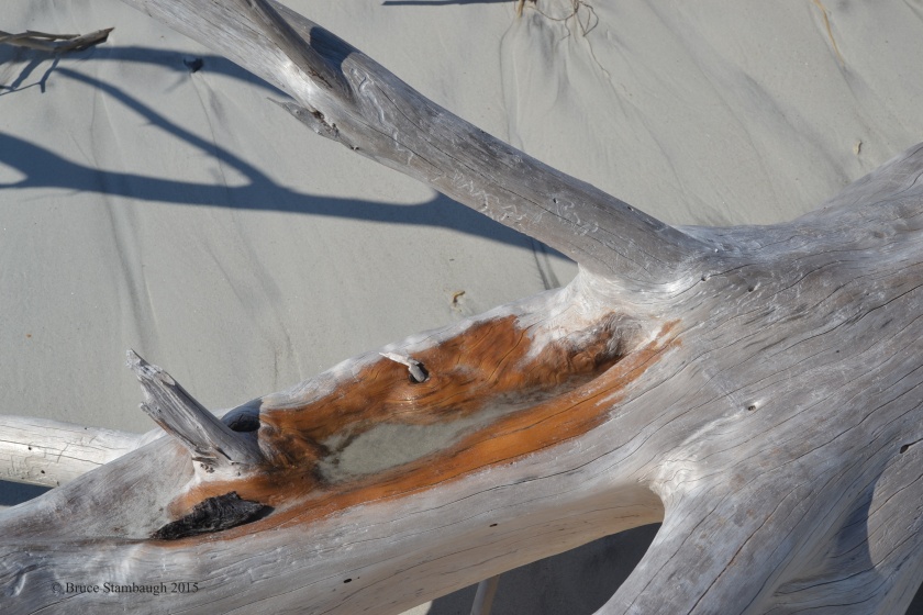 driftwood, abstract photography